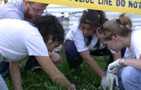 Students at a mock crime scene during a class.