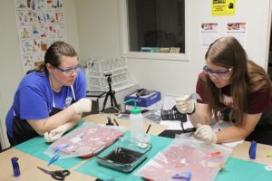 Emily Vincent, left, and Emily Grimshaw looking for latent fingerprints after lifting them from tape. Photo by Rob Williams