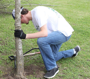 Andrew Wendl cutting a tree for a resident in College Station. Photo by Rob Williams