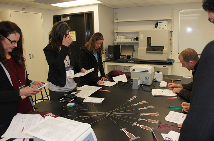 Participants try their hand at determining bloodspatter patterns at a station during the session
