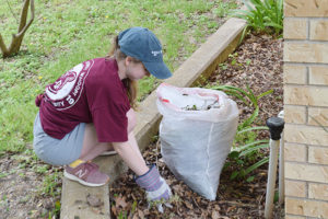 Abigail Drago cleaning leaves and brush from the front flowerbed.