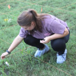 Shay Coplin recording a soil temperature reading from the ground outside a site at a mock crime scene during the Forensic Soil Science course.