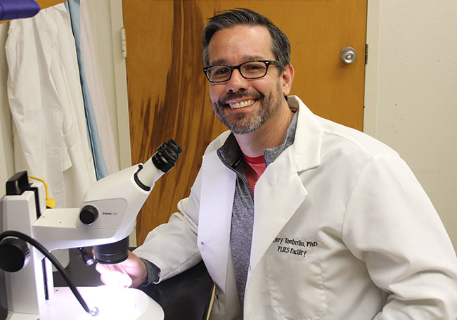 Dr. Jeff Tomberlin at a microscope