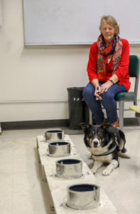 Jacqui Aitkenhead-Peterson, Ph.D., looks on as a human remains detection dog signals a “hit”. (Texas A&M AgriLife photo by Beth Luedeker)